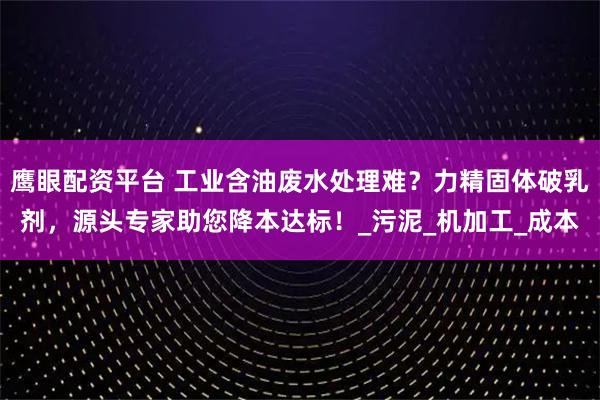 鹰眼配资平台 工业含油废水处理难？力精固体破乳剂，源头专家助您降本达标！_污泥_机加工_成本