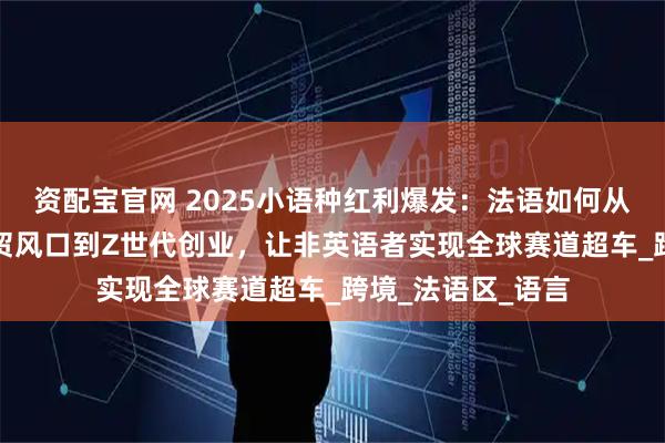 资配宝官网 2025小语种红利爆发：法语如何从高考洼地、AI外贸风口到Z世代创业，让非英语者实现全球赛道超车_跨境_法语区_语言