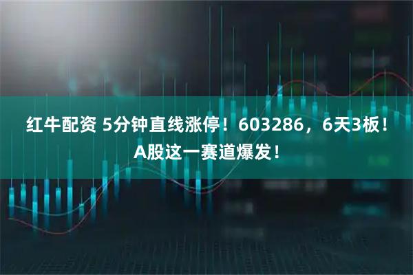 红牛配资 5分钟直线涨停！603286，6天3板！A股这一赛道爆发！
