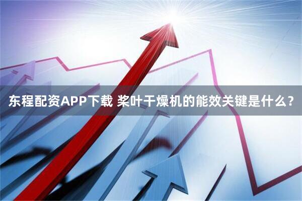 东程配资APP下载 桨叶干燥机的能效关键是什么？