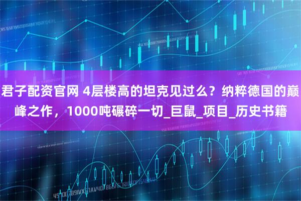 君子配资官网 4层楼高的坦克见过么？纳粹德国的巅峰之作，1000吨碾碎一切_巨鼠_项目_历史书籍