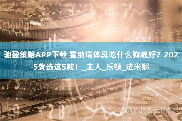 驰盈策略APP下载 雪纳瑞体臭吃什么狗粮好？2025就选这5款！_主人_乐顿_法米娜