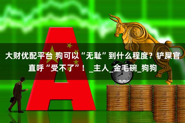 大财优配平台 狗可以“无耻”到什么程度？铲屎官直呼“受不了”！_主人_金毛碗_狗狗