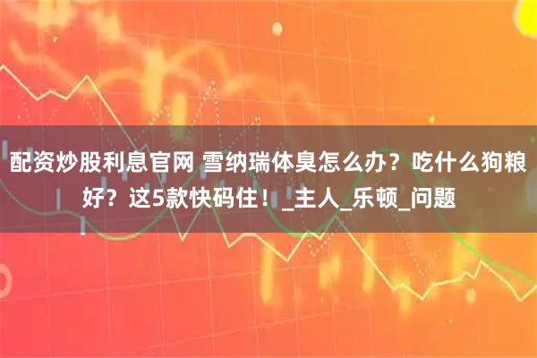 配资炒股利息官网 雪纳瑞体臭怎么办？吃什么狗粮好？这5款快码住！_主人_乐顿_问题