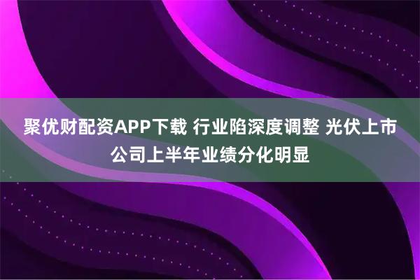 聚优财配资APP下载 行业陷深度调整 光伏上市公司上半年业绩分化明显